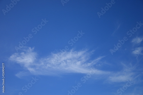 Cloud shape like a bird on the sky, selective focus.