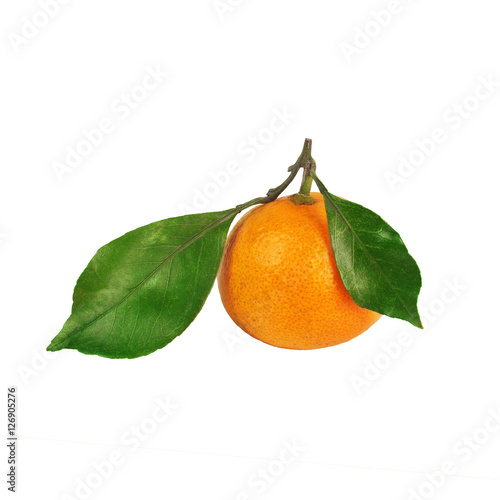 Tangerine with two leaves
