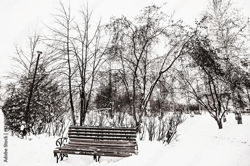 Leafless tree branches abstract background. Black and white. The bench in the Park