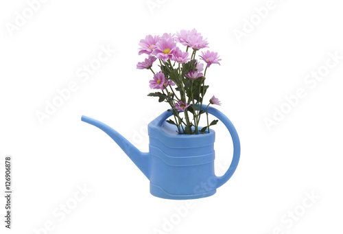 Chrysanthemum in a watering can.