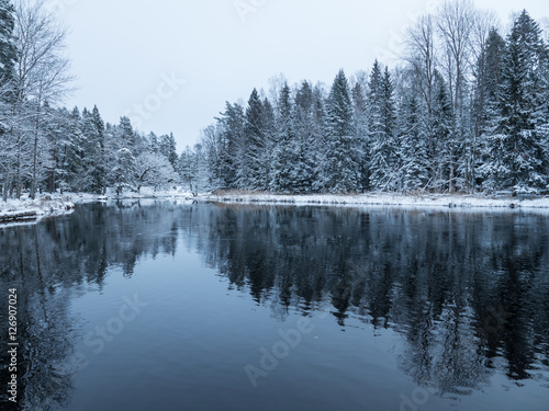 River landscape in winter surrounded by frosty trees