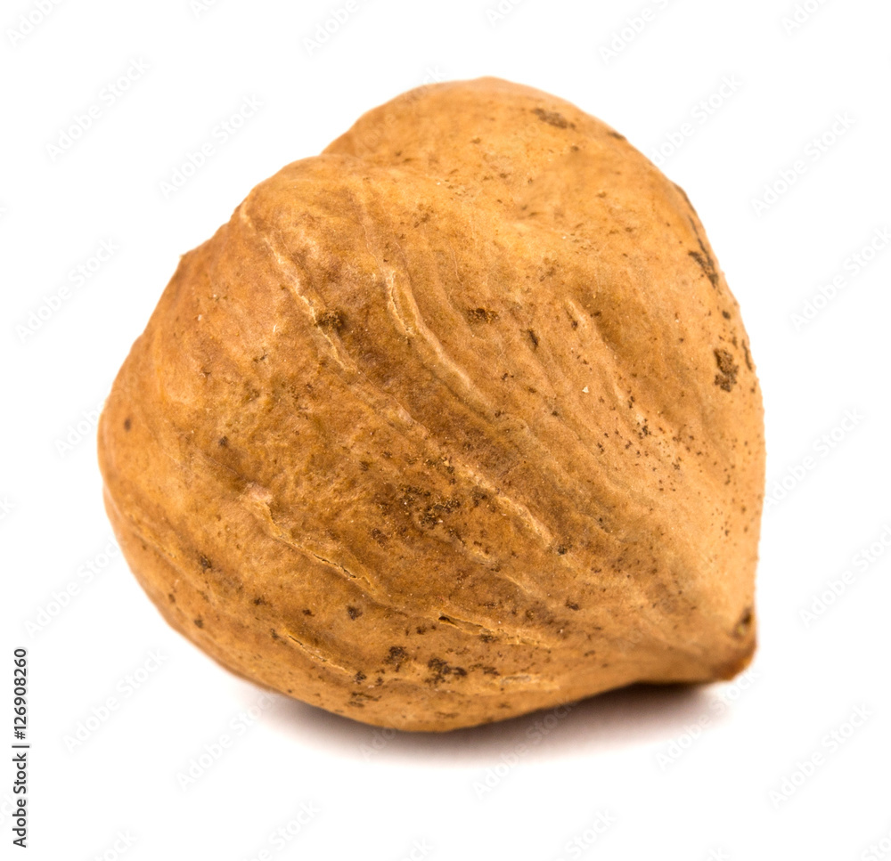Hazelnut close up Hazelnut close up