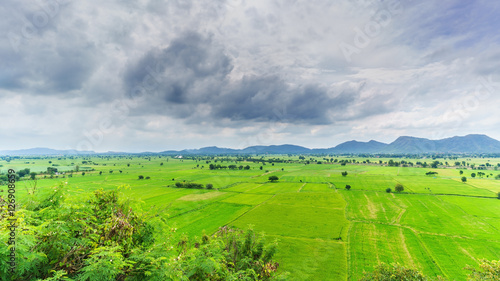 Paddy fields in countryside , Thailand