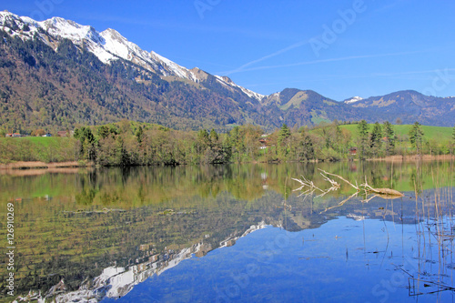 amsoldingersee, mit alpen, schweiz 