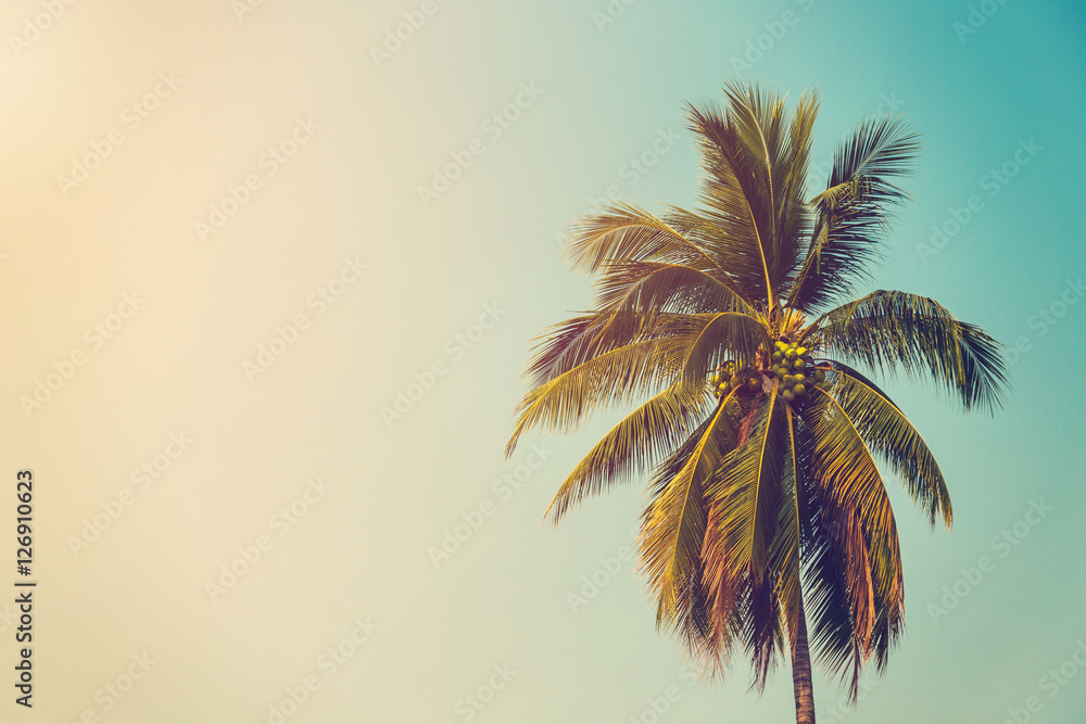 Fototapeta premium coconut palm tree and sky on beach with vintage toned.