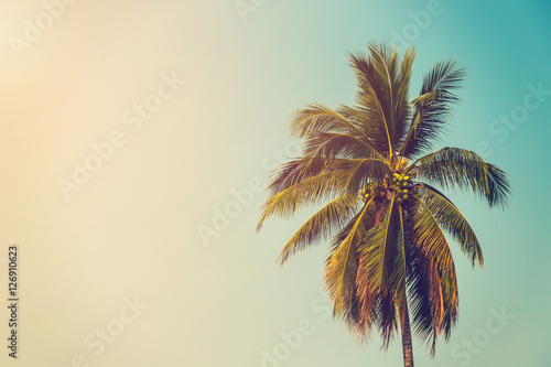 coconut palm tree and sky on beach with vintage toned.