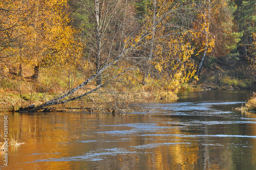 Wallpaper Mural Quiet autumn on the river Torontodigital.ca