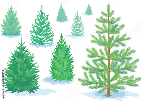 A set of pine trees, fir trees with varying degrees of detail.