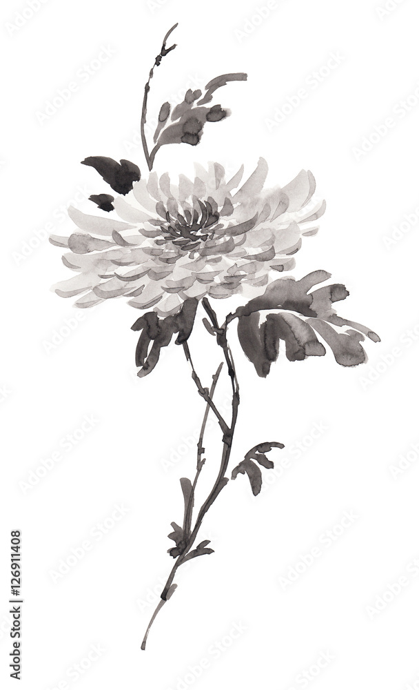 Ink illustration of flower, blooming chrysanthemum in monochrome. Sumi-e, u-sin, gohua painting stile. Silhouette made up of black brush strokes isolated on white background. - obrazy, fototapety, plakaty 