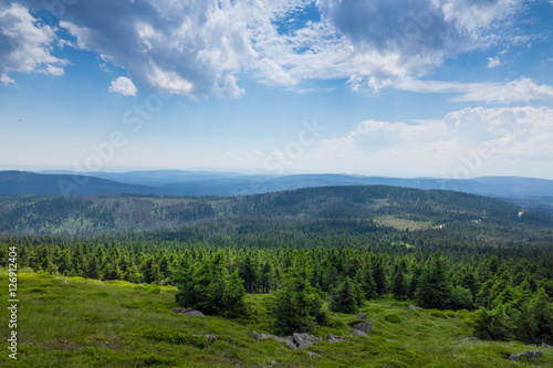 Mountains and forest of  Harz in the sunlight   Germany