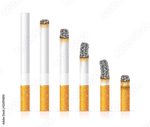 Realistic Cigarette Set Different Stages of Burn. Vector