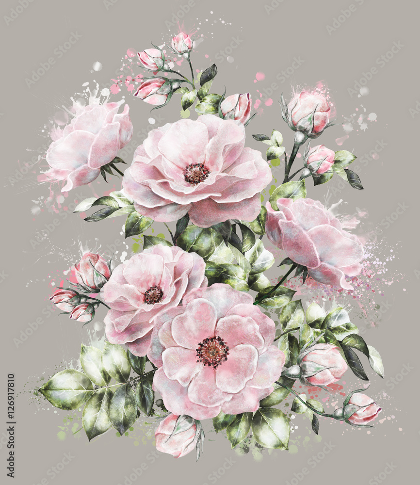 watercolor flowers. Splash paint. floral illustration, flower in Pastel colors, pink rose. branch of flowers isolated on gray background. Leaf and buds. Cute composition for wedding or  greeting card