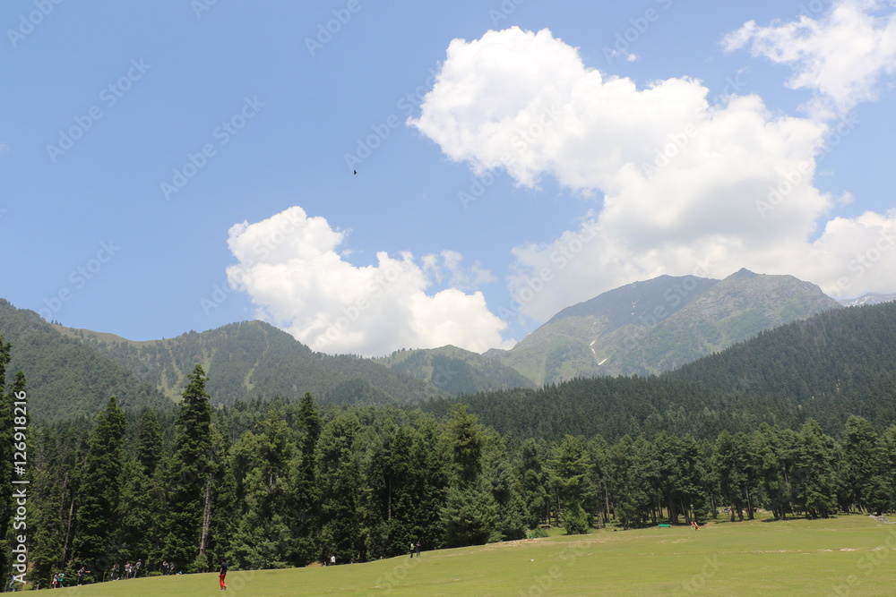 The beauty of the Pahalgam Valley in Jammu & Kashmir in summer. 