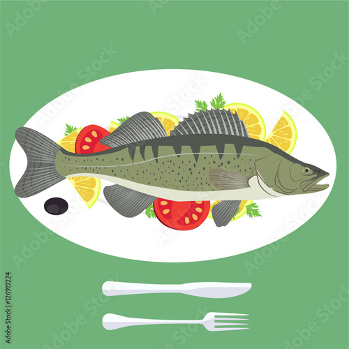 Vector illustration of grill prepared Zander Perch fish with lemon and parsley.