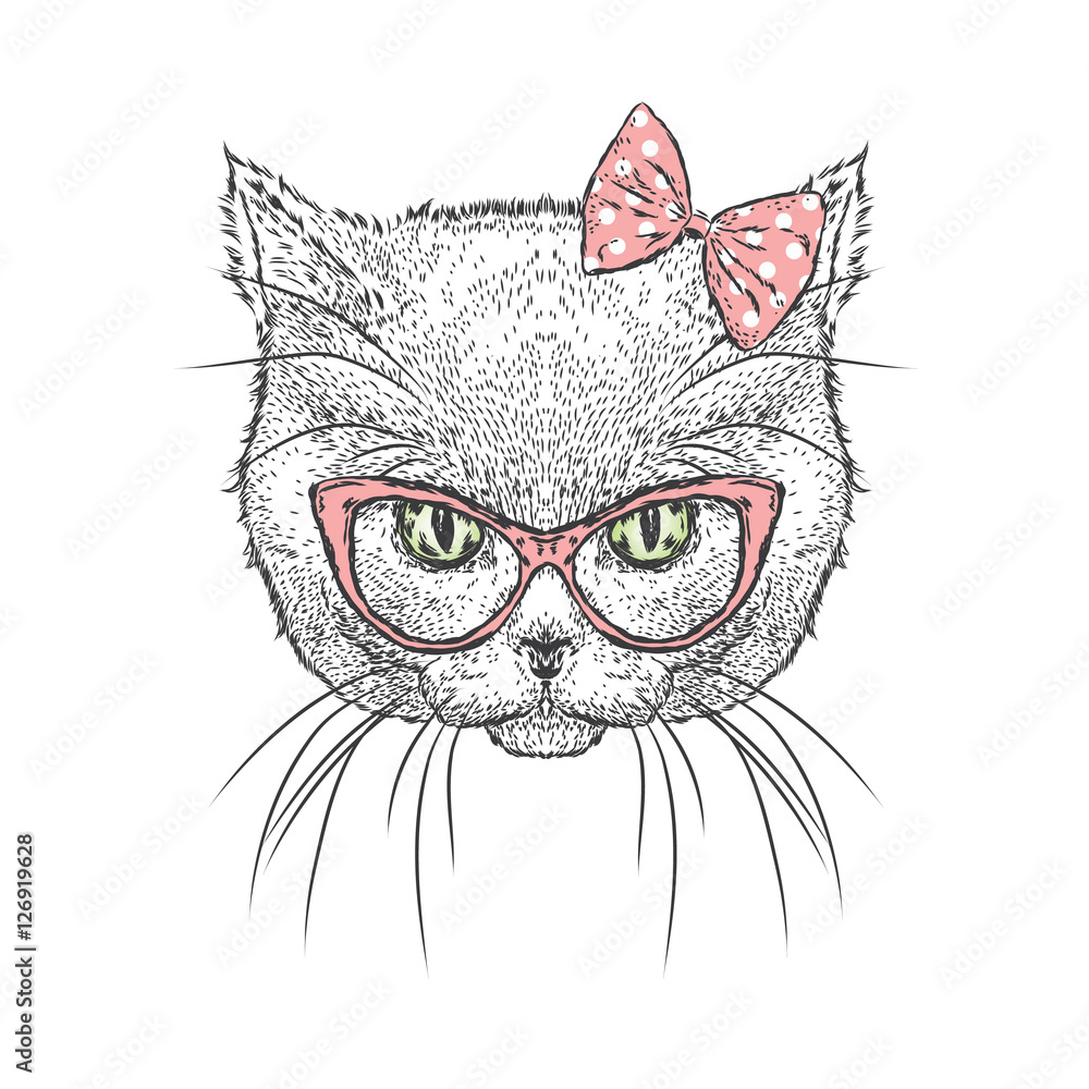 Cute kitten wearing glasses and a bow. Vector illustration. Drawing for greeting cards, prints on clothes or poster. Girl. Cute kitten wearing glasses and a bow. Vector illustration. Drawing for greeting cards, prints on clothes or poster. Girl.