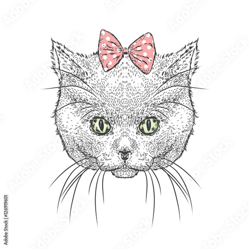 Cute kitten wearing a bows. Vector illustration. Drawing for greeting cards, prints on clothes or poster. Girl.