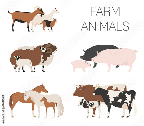 Farm animall family collection. Cattle, sheep, pig, horse, goat