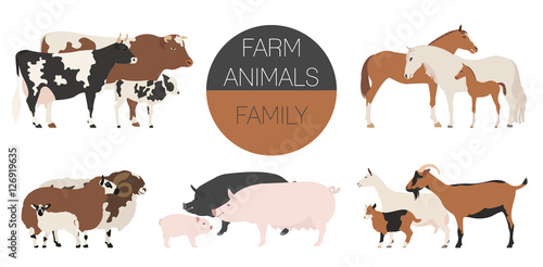Fototapeta Naklejka Na Ścianę i Meble -  Farm animall family collection. Cattle, sheep, pig, horse, goat