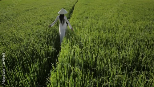 WS HA LD Young Woman Wearing Ao Dai Walking Across Rice Paddy / Hoi An, Vietnam