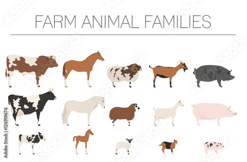 Farm animall family collection. Cattle, sheep, pig, horse, goat photo