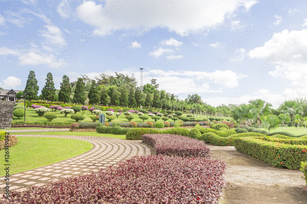 flower garden In Chiang Rai