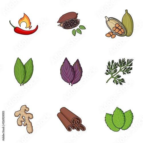 Herb and spices set icons in cartoon style. Big collection of herb and spices vector symbol stock illustration