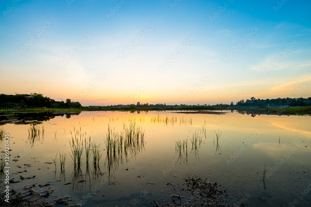 Fototapeta premium sunset on the lake landscape