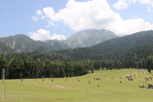 The beauty of the Pahalgam Valley in Jammu & Kashmir in summer. 