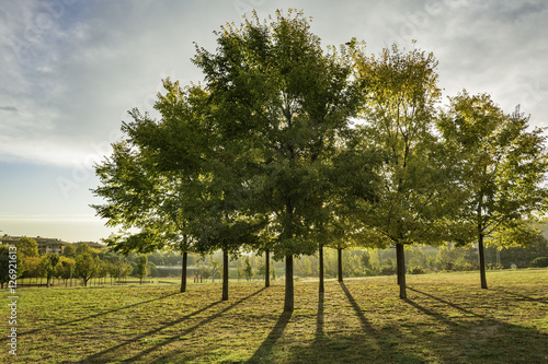 A comienzos del otoño