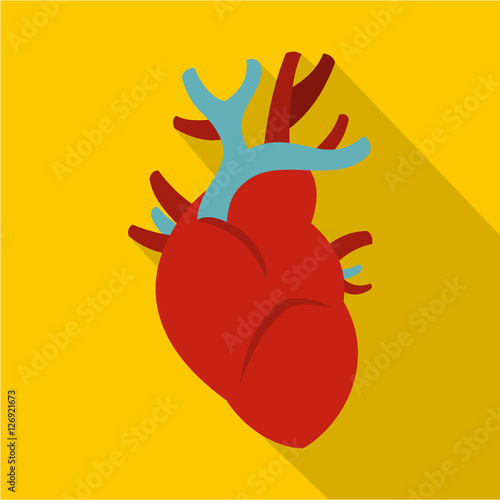Heart icon. Flat illustration of heart vector icon for web