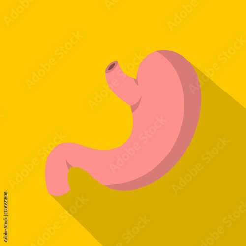 Stomach icon. Flat illustration of stomach vector icon for web