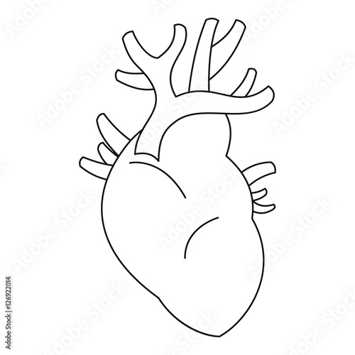 Heart icon. Outline illustration of heart vector icon for web