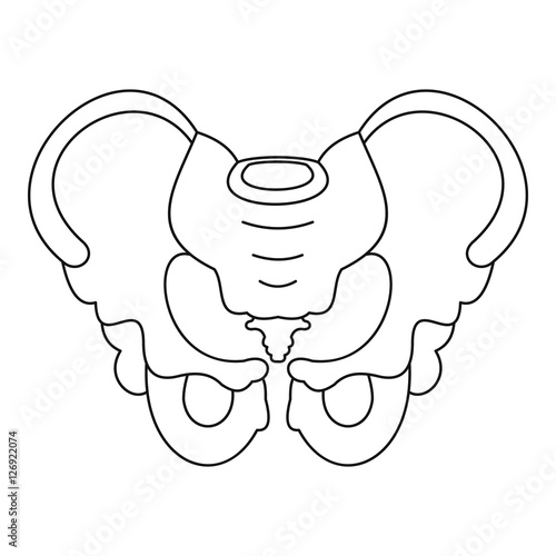 Pelvis icon. Outline illustration of pelvis vector icon for web