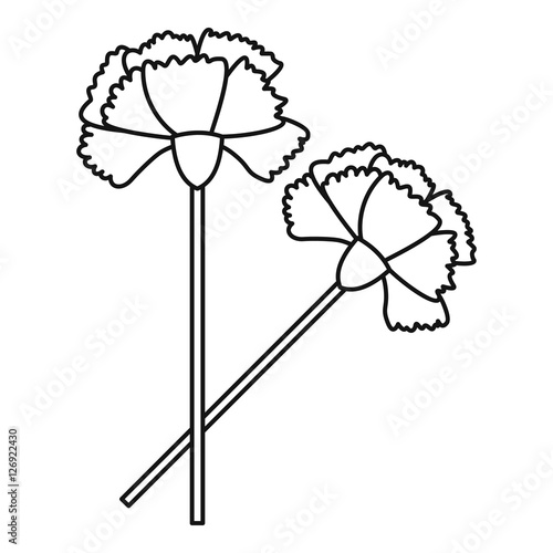 Carnation icon. Outline illustration of carnation vector icon for web