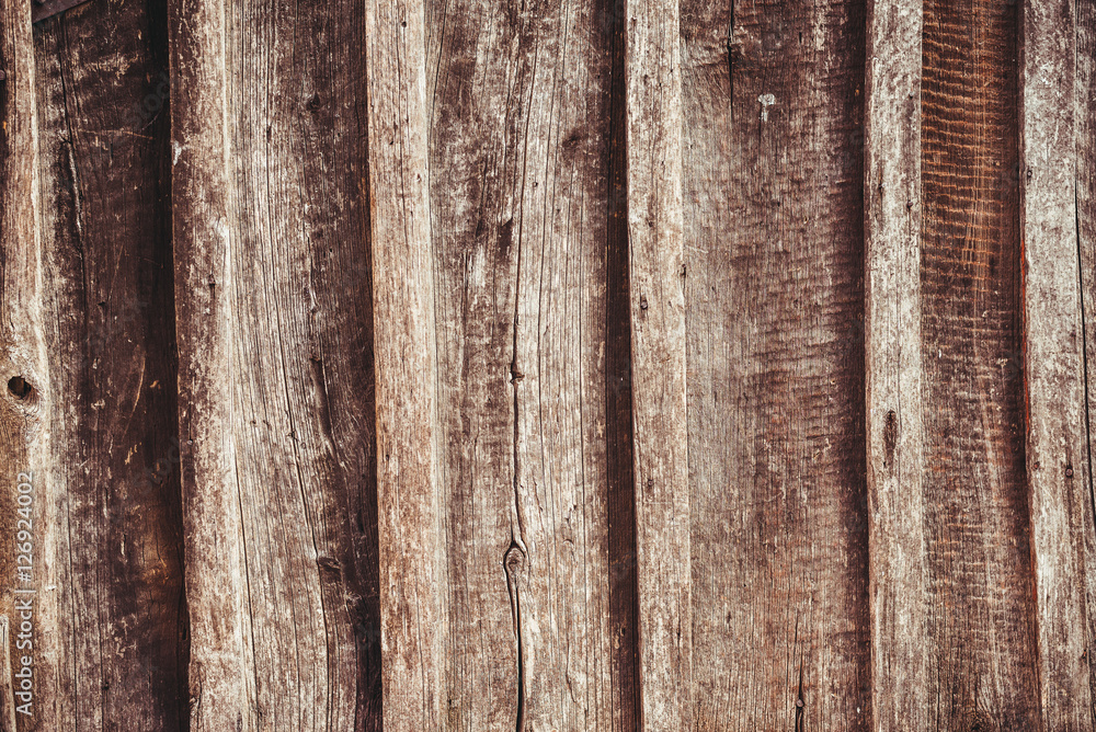 Fototapeta premium the brown old wood texture with knot