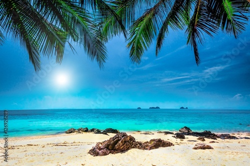 Fototapeta Naklejka Na Ścianę i Meble -  palm trees on tropical beach and blue sky with white clouds in Krabi province, Thailand