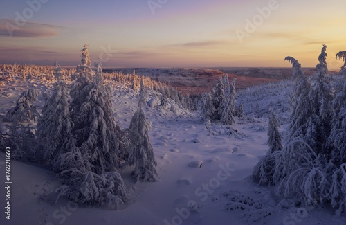 Winter landscape with forest, sun and snow.  © Olonkho