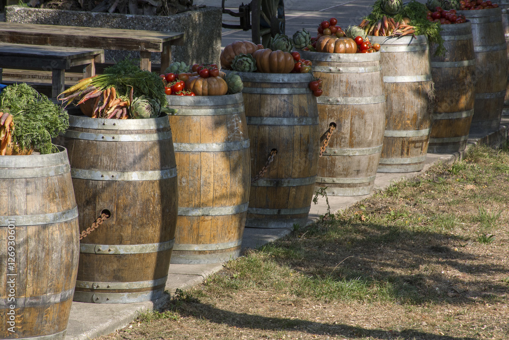 Big harvest of different vegetables on the barrels in the sunlight Big harvest of different vegetables on the barrels in the sunlight