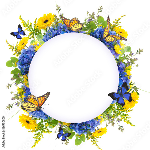 Fototapeta Naklejka Na Ścianę i Meble -  Amazing background with hydrangeas and daisies. Yellow and blue flowers on a white blank. Floral card nature. bokeh butterflies.