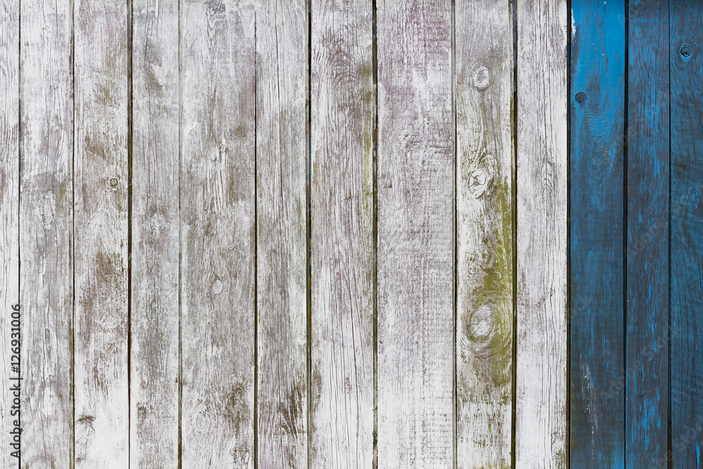 Fototapeta premium The white wood texture with natural patterns background