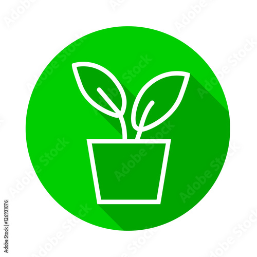 Long Shadow Blumentopf