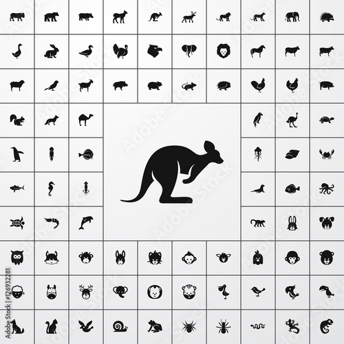kangaroo icon illustration