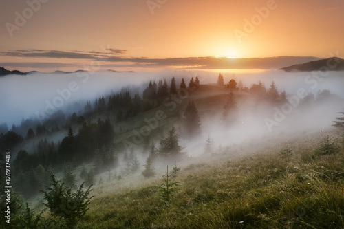 Ukraine. Carpathians. Dzembronya. Morning fog