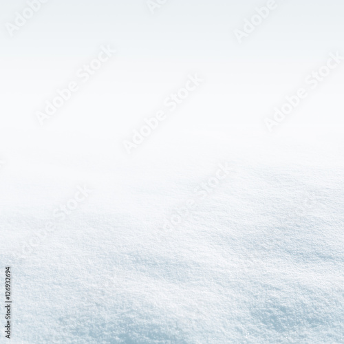 white frost snow winter background © Alex