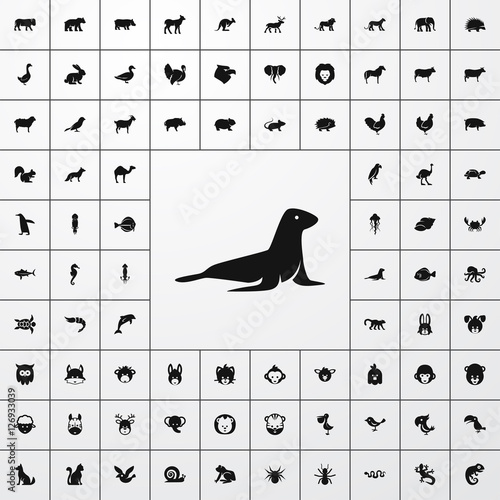seal icon illustration