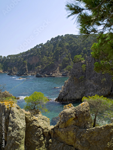 Costa Brava Girona zona del pueblo de calella de Palafrugell