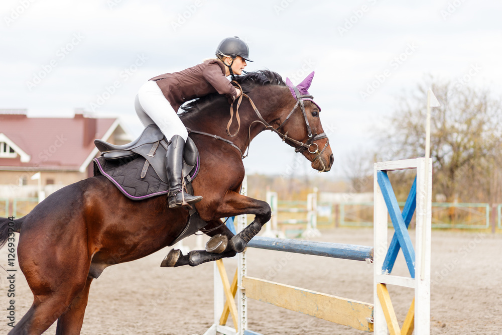 Young rider girl at show jumping. Jump hurdle Young rider girl at show jumping. Jump hurdle