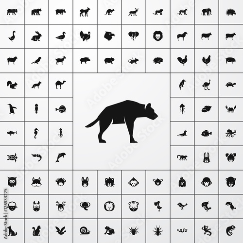 hyena icon illustration
