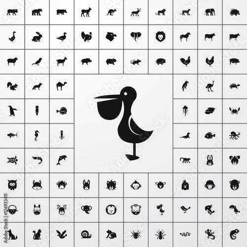 pelican icon illustration