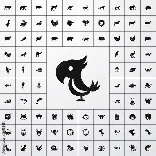 parrot icon illustration